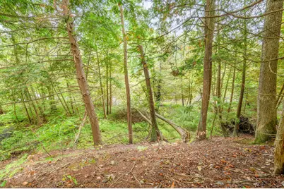 Lot 37 Birch Drive, White Cloud, MI 49349 - Photo 17