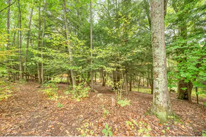 Lot 37 Birch Drive, White Cloud, MI 49349 - Photo 11