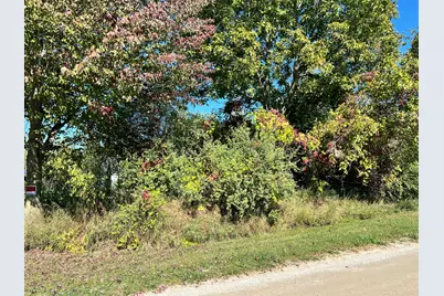 Lot 108 Stella Street, Custer, MI 49405 - Photo 9