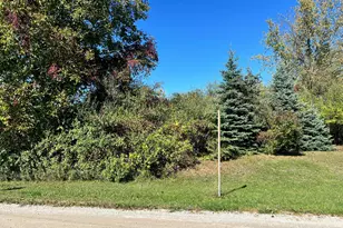 Lot 108 Stella St, Custer, MI 49405 - Photo 11