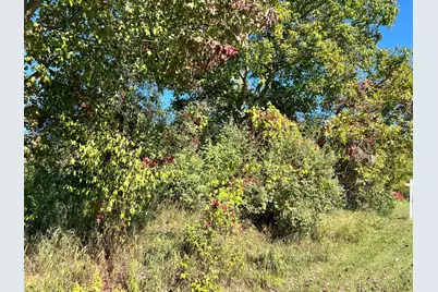 Lot 108 Stella Street, Custer, MI 49405 - Photo 7