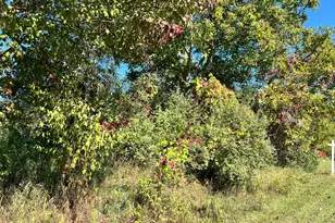 Lot 108 Stella St, Custer, MI 49405 - Photo 7