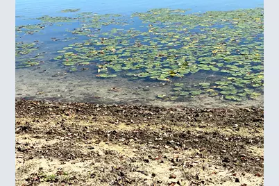 Lot 108 Stella Street, Custer, MI 49405 - Photo 19