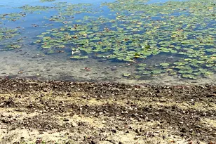 Lot 108 Stella St, Custer, MI 49405 - Photo 19