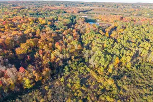 16698 220th Ave, Big Rapids, MI 49307 - Photo 31