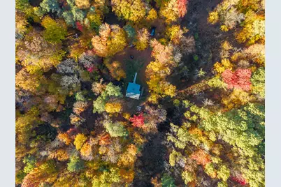 16698 220th Avenue, Big Rapids, MI 49307 - Photo 29