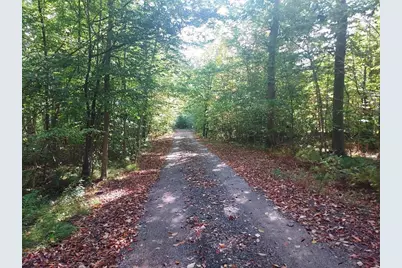 16698 220th Avenue, Big Rapids, MI 49307 - Photo 3