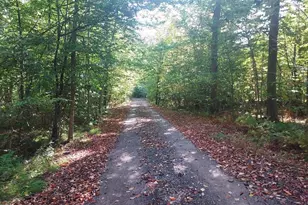 16698 220th Ave, Big Rapids, MI 49307 - Photo 3