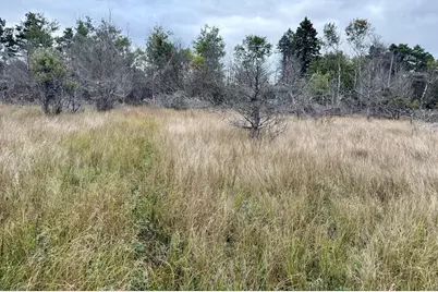 1 Greenway, Onekama, MI 49675 - Photo 3