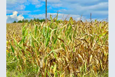 0 Crampton Road, Hillsdale, MI 49242 - Photo 5