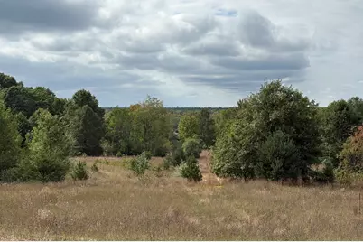 7267 S Snyder Road SW, Fife Lake, MI 49633 - Photo 1