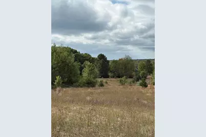 7267 S Snyder Road SW, Fife Lake, MI 49633 - Photo 3