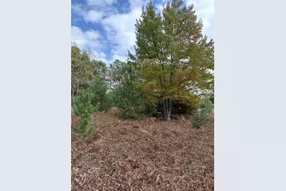 7267 S Snyder Road SW, Fife Lake, MI 49633 - Photo 13