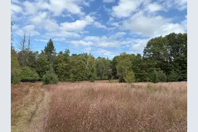 7267 S Snyder Road SW, Fife Lake, MI 49633 - Photo 11