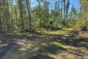 E County Line Rd, Free Soil, MI 49411 - Photo 19