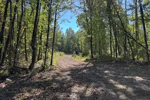 E County Line Rd, Free Soil, MI 49411 - Photo 21