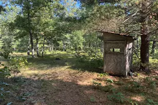 E County Line Rd, Free Soil, MI 49411 - Photo 11