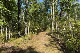 E County Line Rd, Free Soil, MI 49411 - Photo 13