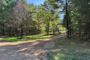 E County Line Rd, Free Soil, MI 49411 - Photo 5