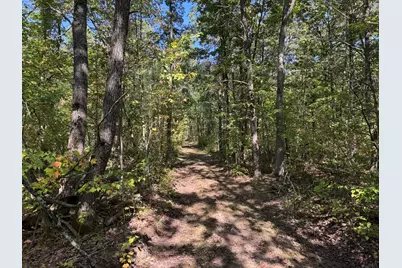 E County Line Road, Free Soil, MI 49411 - Photo 15