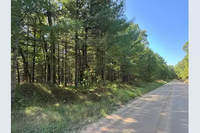 E County Line Road, Free Soil, MI 49411 - Photo 25