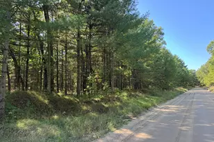 E County Line Rd, Free Soil, MI 49411 - Photo 25