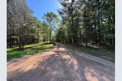 E County Line Road, Free Soil, MI 49411 - Photo 7
