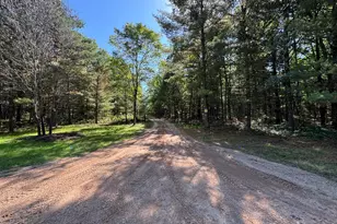 E County Line Rd, Free Soil, MI 49411 - Photo 7