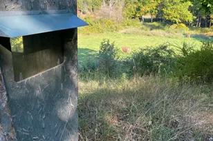 5435 Edwards Rd, Harbor Beach, MI 48441 - Photo 33