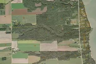 5435 Edwards Rd, Harbor Beach, MI 48441 - Photo 49