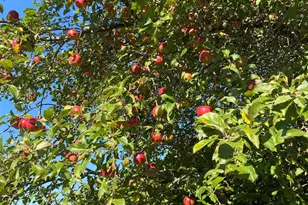 5435 Edwards Rd, Harbor Beach, MI 48441 - Photo 35