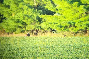 5435 Edwards Rd, Harbor Beach, MI 48441 - Photo 47