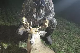 5435 Edwards Rd, Harbor Beach, MI 48441 - Photo 45