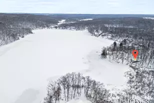 6048 Stewart Woods Dr, Delton, MI 49046 - Photo 3