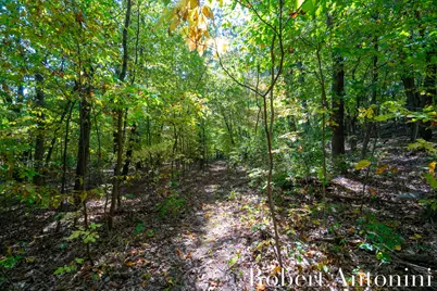 14111 Thompson Drive NE, Lowell, MI 49331 - Photo 11