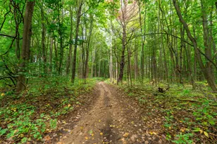 5916 Preservation Dr, Hamilton, MI 49419 - Photo 53