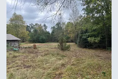 8710 Jouppi Road, Kaleva, MI 49645 - Photo 11