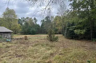 8710 Jouppi Rd, Kaleva, MI 49645 - Photo 11