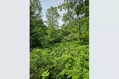 00 Sarsi Cove, Evart, MI 49631 - Photo 7