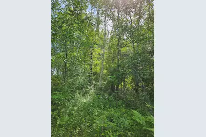 00 Sarsi Cove, Evart, MI 49631 - Photo 9
