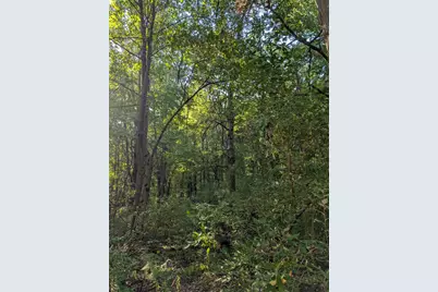 6698 E Skeels Road, Holton, MI 49425 - Photo 13