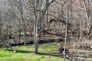 571 Sycamore Cir, Saline, MI 48176 - Photo 33