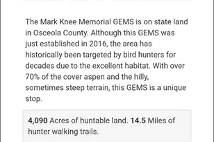 10368 Schwyz Dr, Reed City, MI 49677 - Photo 39