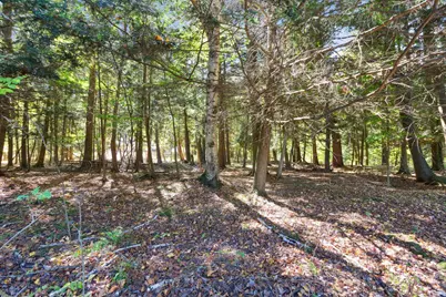 751 Hunter Ridge, Marion, MI 49665 - Photo 33