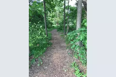 1041 Dogwood Meadows Drive SE, Ada, MI 49301 - Photo 59