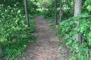 1041 Dogwood Meadows Dr SE, Ada, MI 49301 - Photo 59