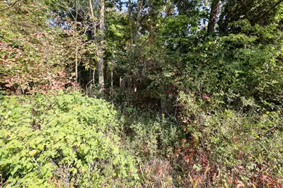 Vl Center Rd Lot #WP001, Hastings, MI 49058 - Photo 15