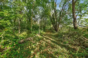 2314 Hand Rd, Niles, MI 49120 - Photo 63