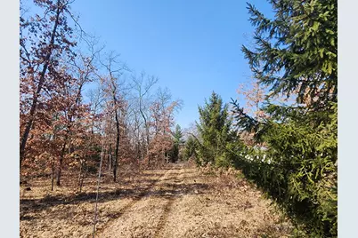 Lot B Jeffers Street, Irons, MI 49644 - Photo 3