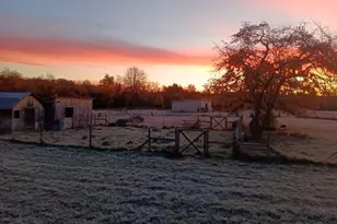 4640 N Harding Ave, Harrison, MI 48625 - Photo 23